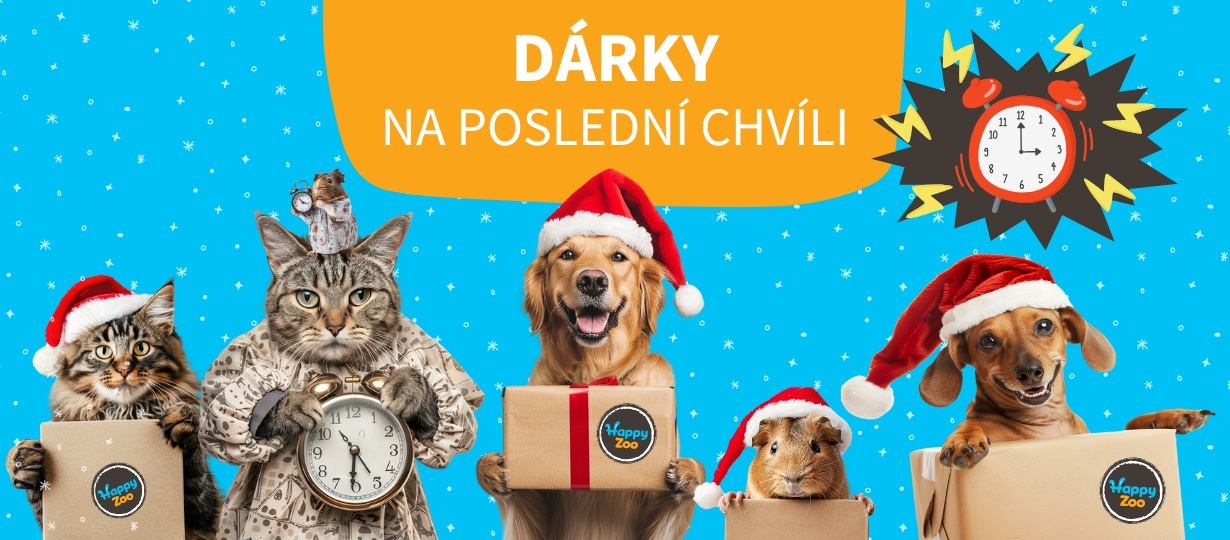 darky_posledni_chvile